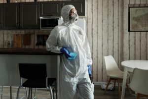 Affordable and Effective Carpet Cleaning in Essex
