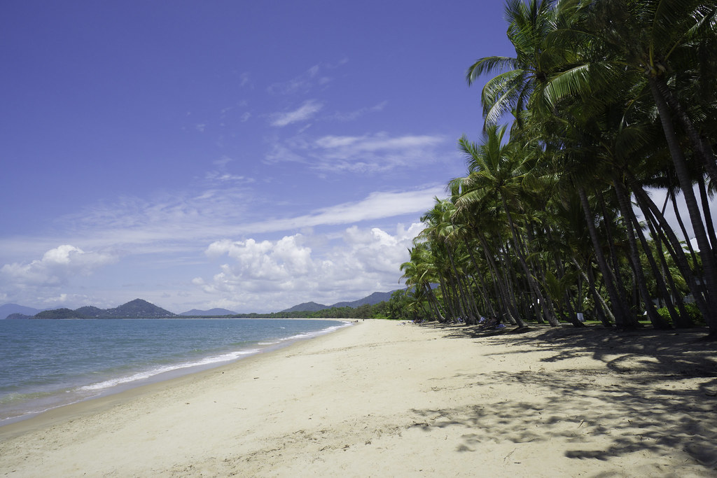 free travel program